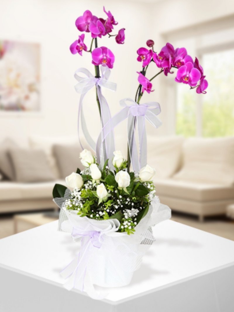 Mor Orkide Ve Beyaz Güller